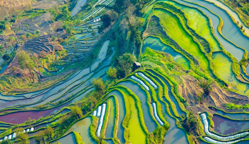 宝妈必备神器：鄂州产品视频拍摄轻松育儿好帮手