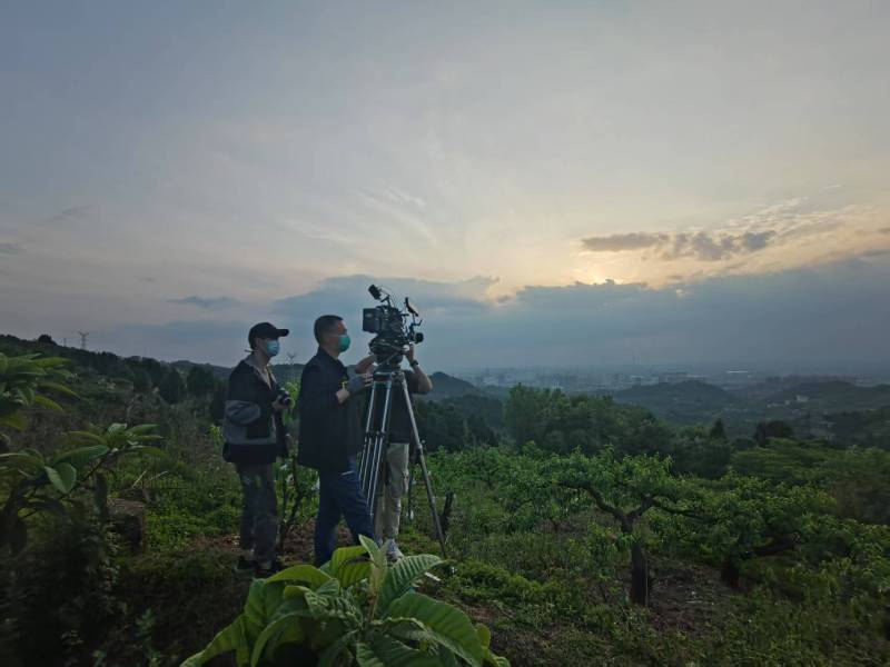 创意破圈！鄂州电商产品宣传视频用故事化叙事引爆流量