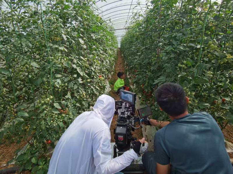 鄂州产品宣传视频拍摄公司进阶指南，助力品牌抢占传播高地